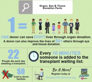 What are ways you can help support organ donation? Find out how you can help.